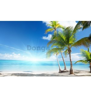 Fototapeta vliesová: Palmy na pláži - 254x184 cm