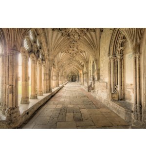 Fototapeta: Gotická architektúra (1) - 254x368 cm