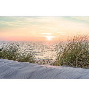 Fototapeta vliesová: Východ slnka nad morom - 254x184 cm