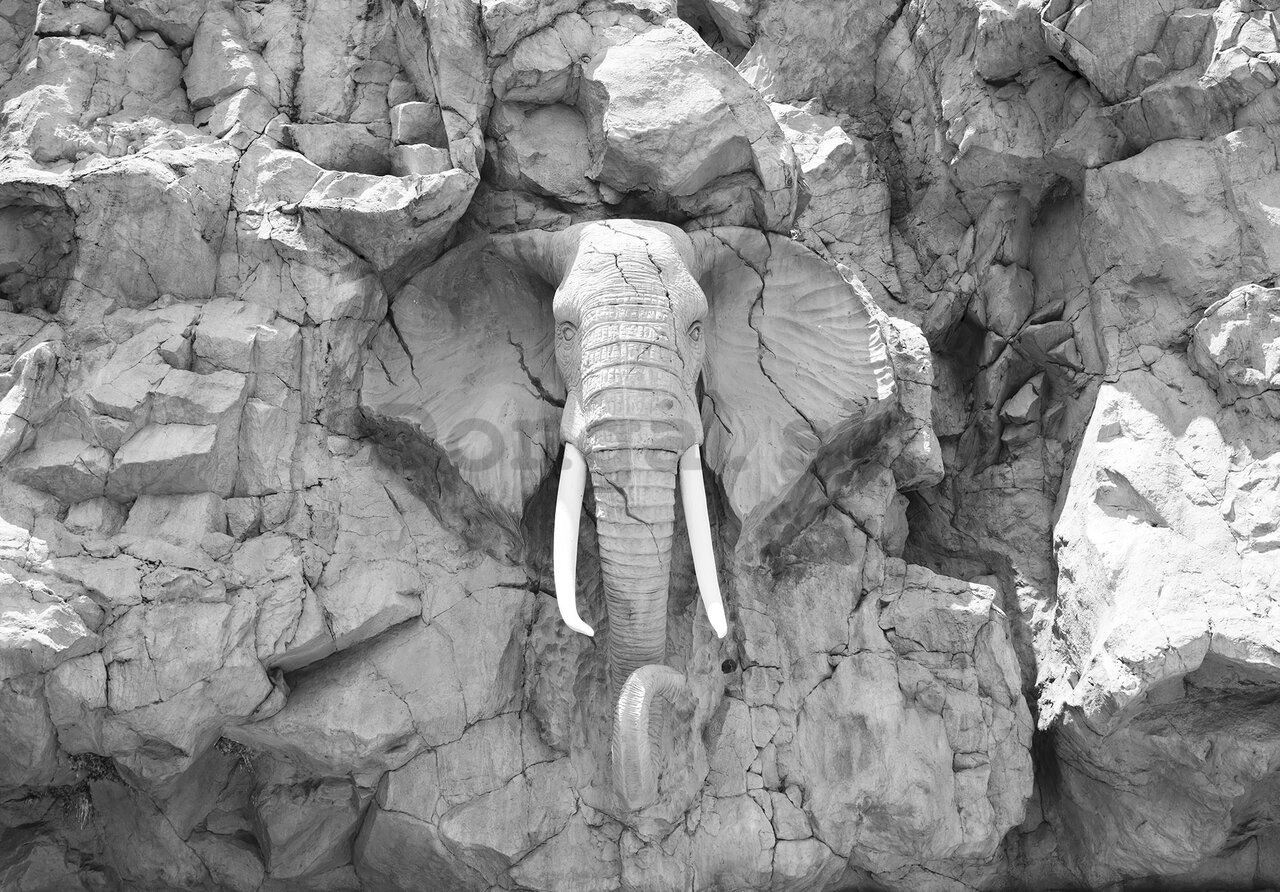 Fototapeta: Hlinený slon (čiernobiely) - 368x254cm
