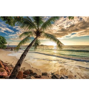 Fototapeta vliesová: Tropický raj (2) - 368x254 cm