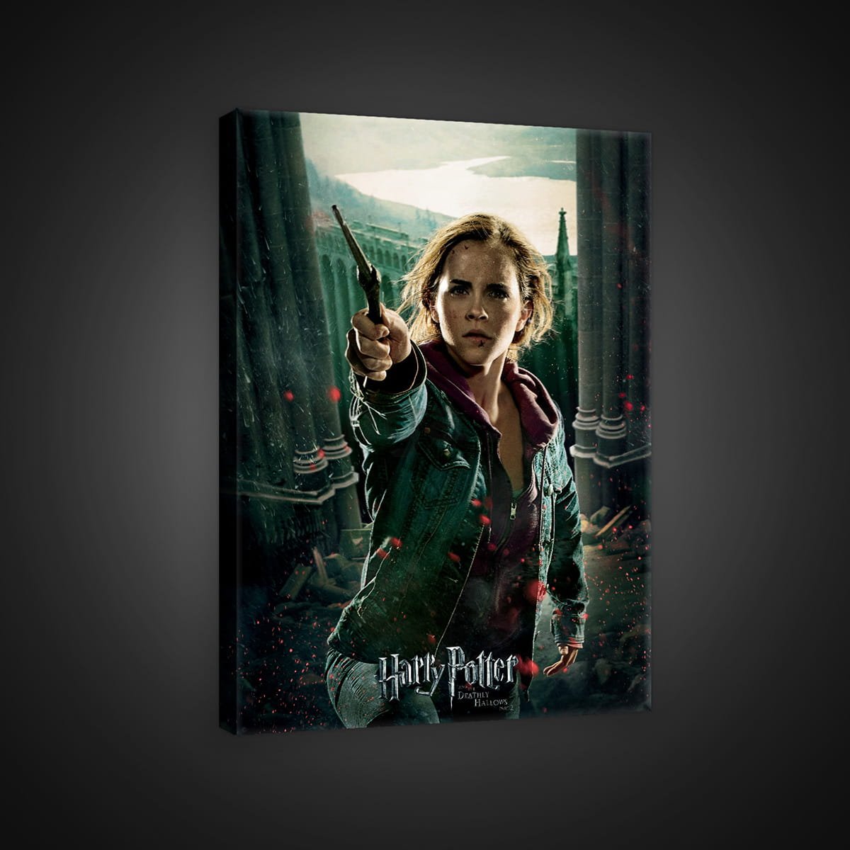 Obraz na plátne: Harry Potter (Hermiona) - 75x100 cm