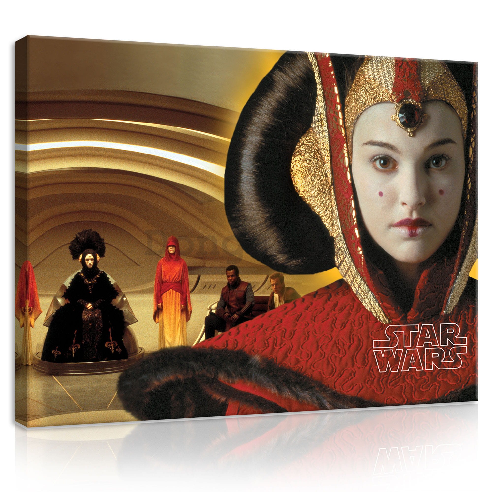 Obraz na plátne: Star Wars (Princezná Amidala) - 100x75 cm