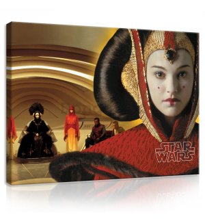 Obraz na plátne: Star Wars (Princezná Amidala) - 100x75 cm