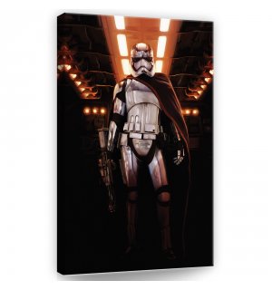 Obraz na plátne: Star Wars Captain Phasma (1) - 40x60 cm