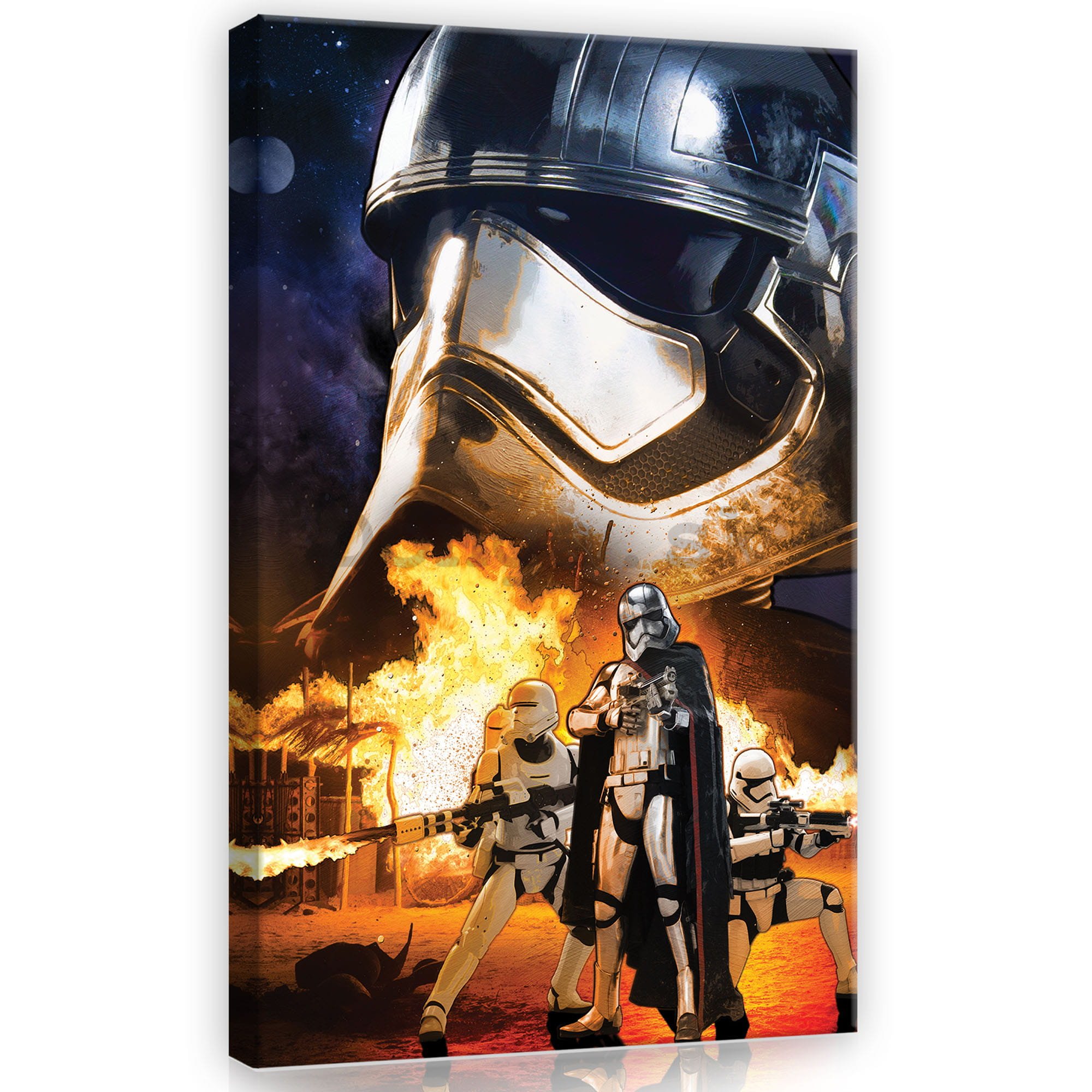 Obraz na plátne: Star Wars Captain Phasma - 40x60 cm