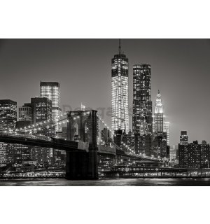 Fototapeta vliesová: Brooklyn Bridge (4) - 460x300 cm