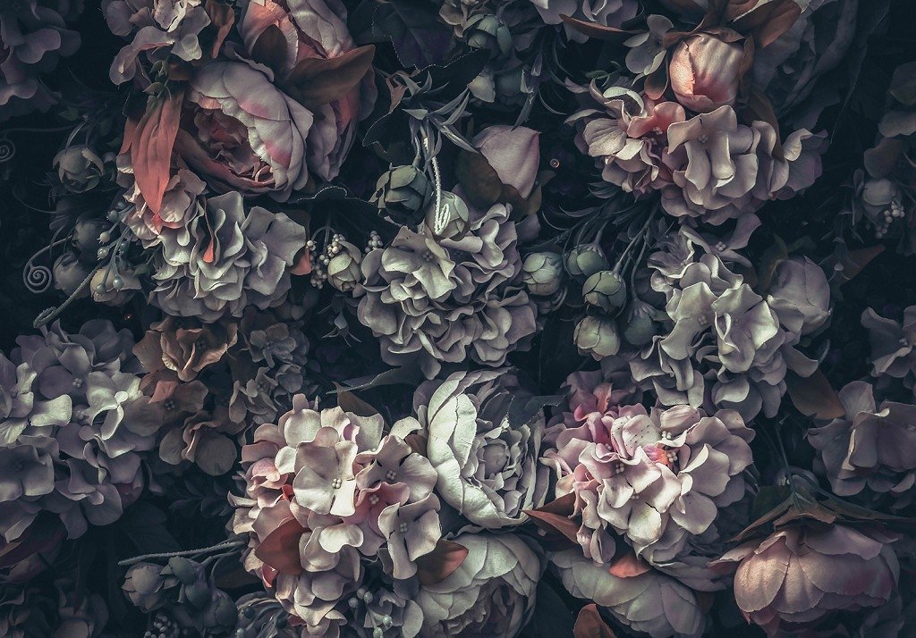 Fototapeta vliesová: Květinová kombinace (2) - 460x300 cm