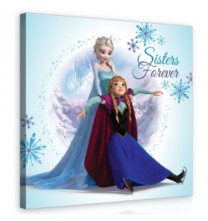 Obraz na plátne: Frozen (Sisters Forever) - 80x80 cm