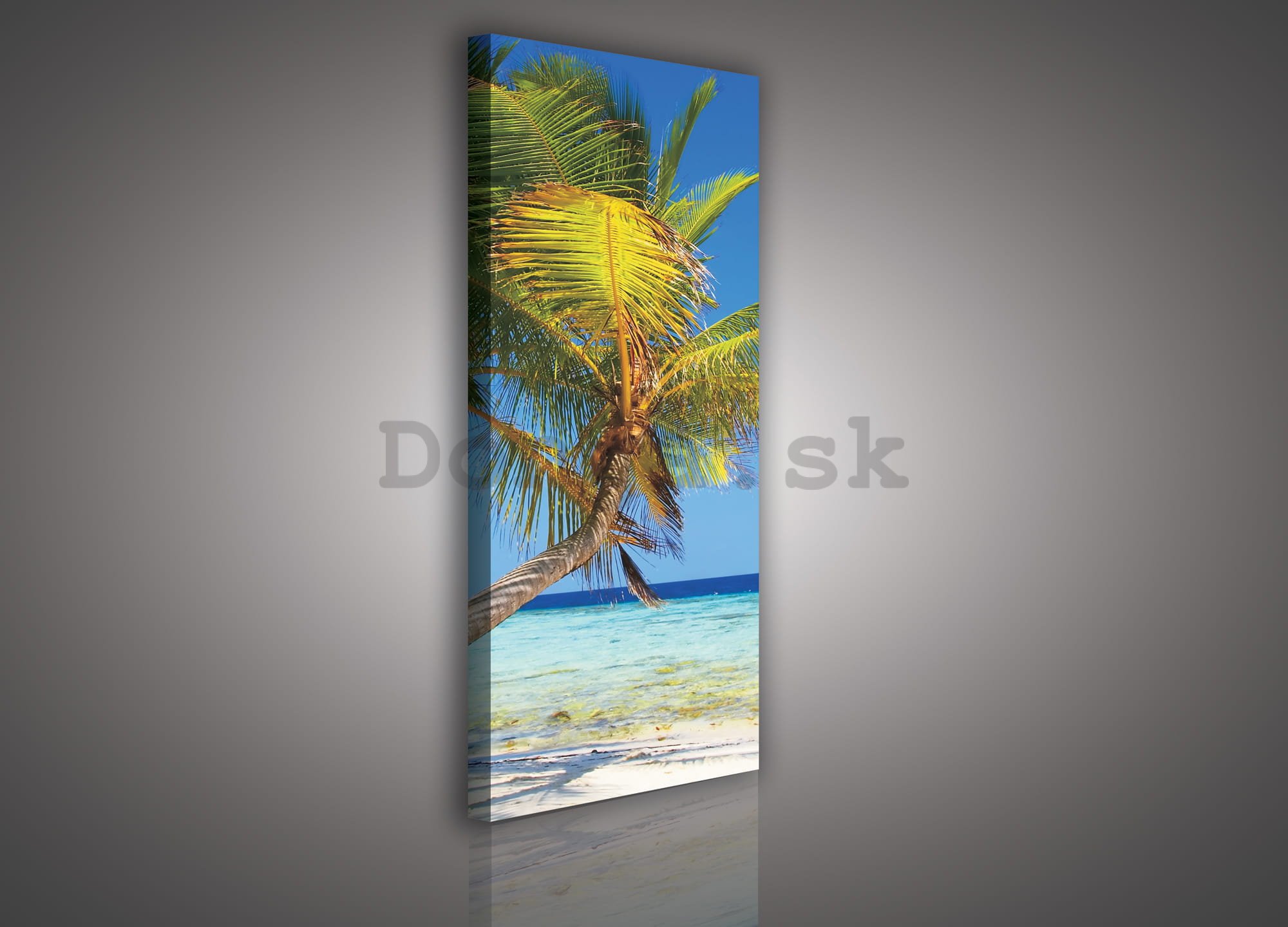 Obraz na plátne: Pláž s palmou - 45x145 cm