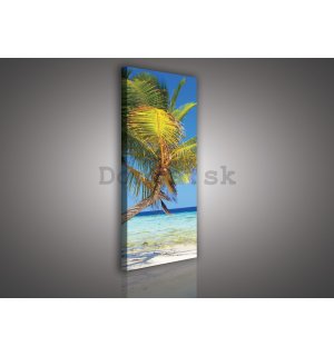 Obraz na plátne: Pláž s palmou - 45x145 cm