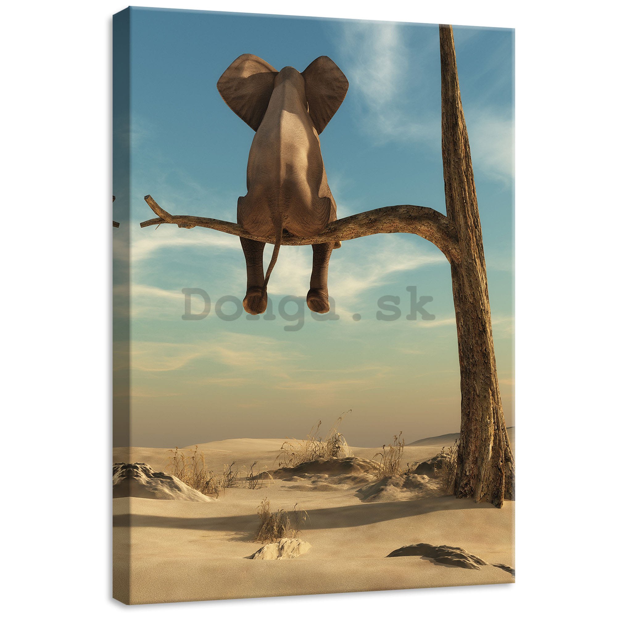 Obraz na plátne: Slon na strome - 50x70 cm