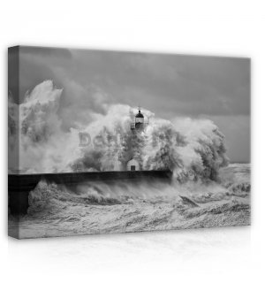 Obraz na plátne: Prívalová vlna (1) - 70x50 cm