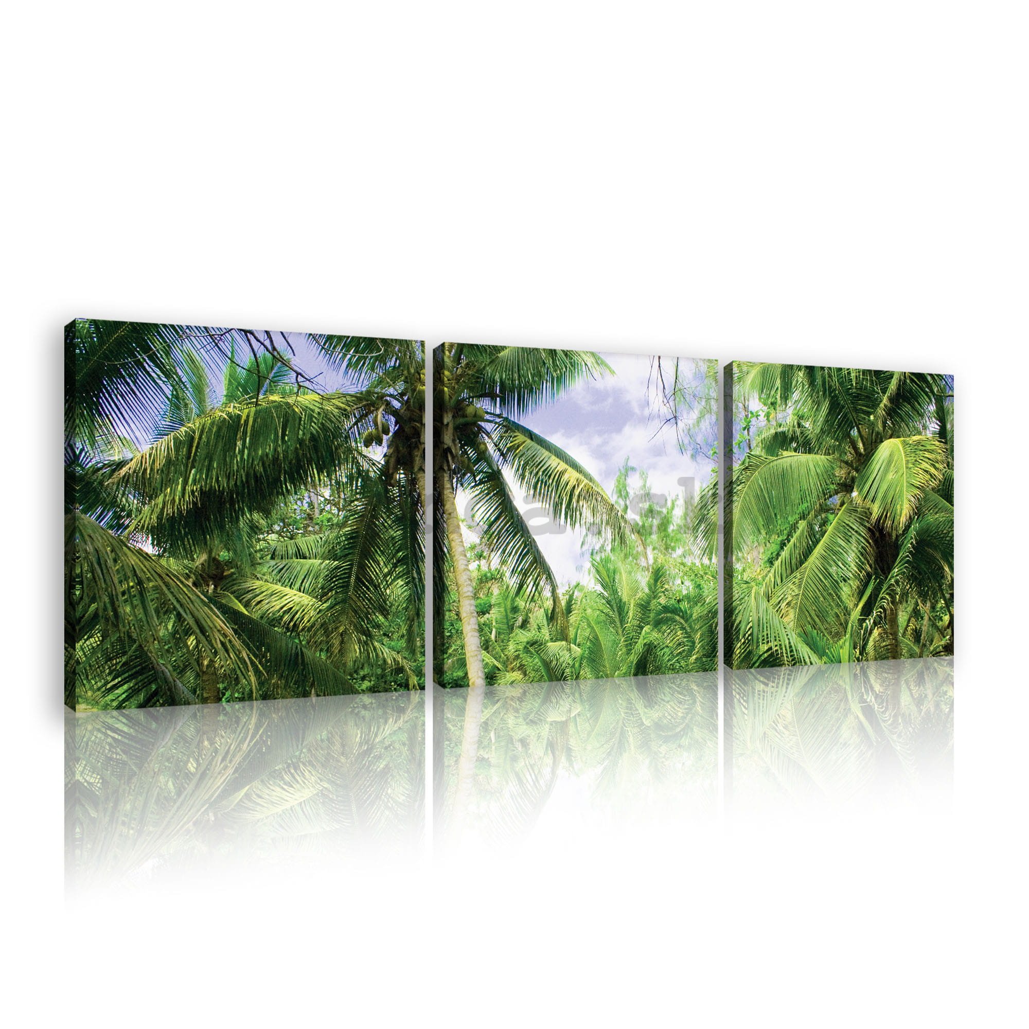 Obraz na plátne: Palmy - set 3ks 25x25cm