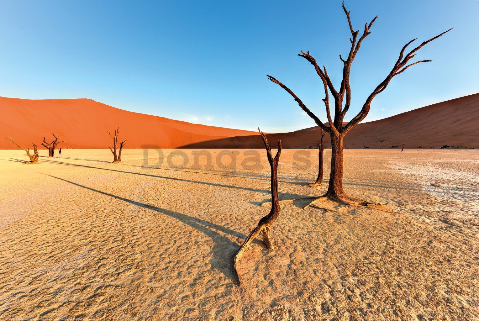 Plagát: Vyprahnutá púšť Namib