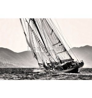 Plagát: Jachting (čiernobiela plachetnica)