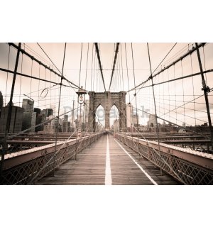 Plagát: Cesta cez Brooklynský most