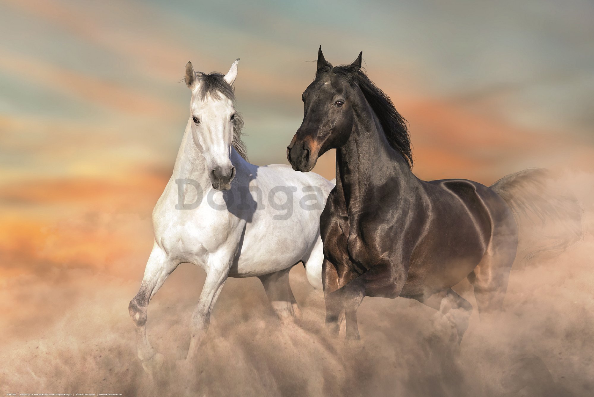 Plagát: Cválajúce kone v piesku