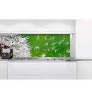 Samolepiaca umývateľná fotofototapeta za kuchynskú linku - Púpava, 180x60 cm