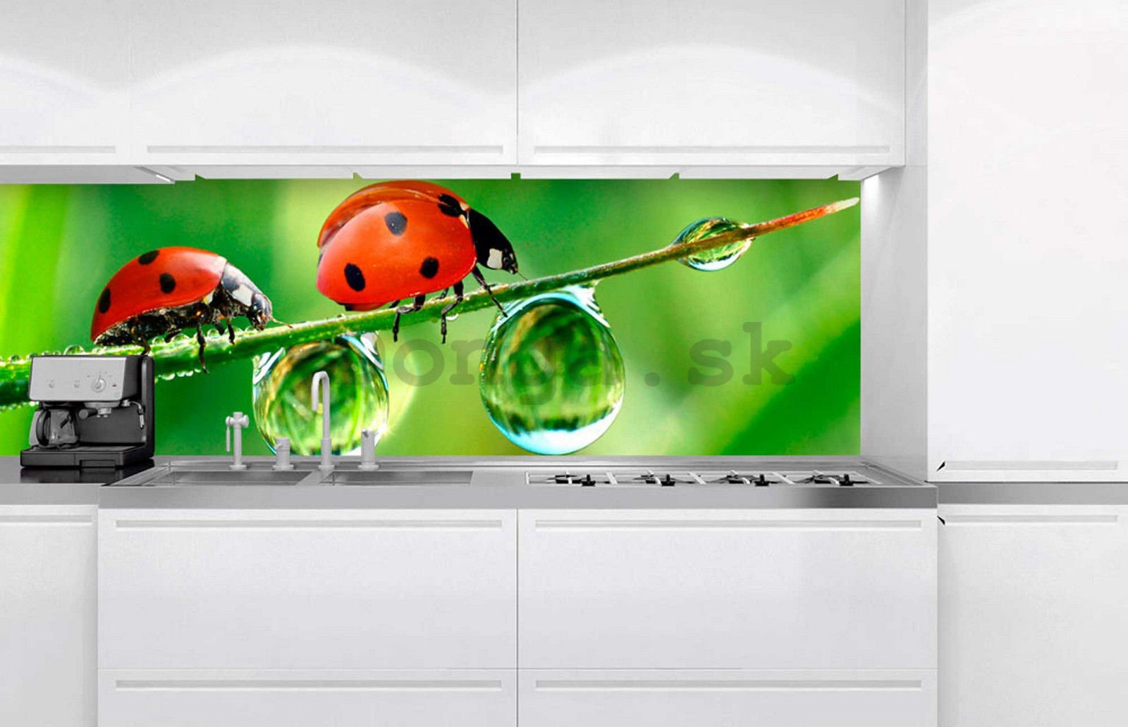 Samolepiaca umývateľná fotofototapeta za kuchynskú linku - Lienky, 180x60 cm