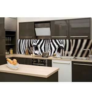 Samolepiaca umývateľná fotofototapeta za kuchynskú linku - Zebra, 260x60 cm