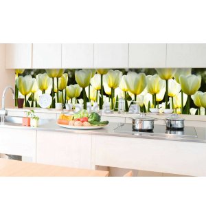 Samolepiaca umývateľná fotofototapeta za kuchynskú linku - Biele tulipány, 350x60 cm