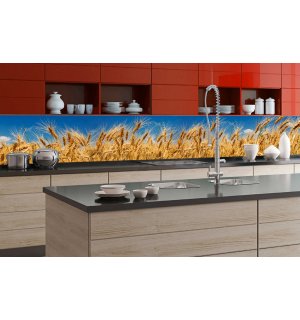 Samolepiaca umývateľná fotofototapeta za kuchynskú linku - Pšeničné pole, 350x60 cm