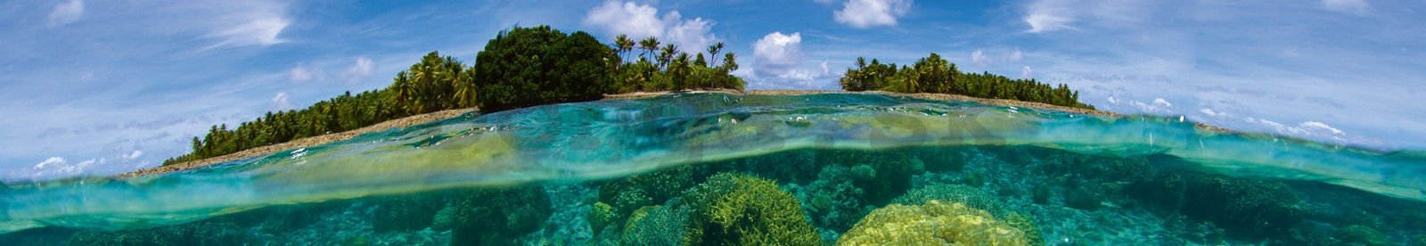 Samolepiaca umývateľná fotofototapeta za kuchynskú linku - Koralový útes, 350x60 cm