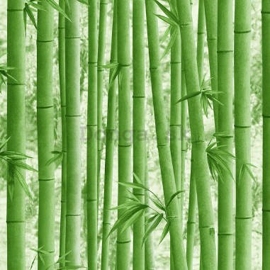 Vinylové tapety bambus
