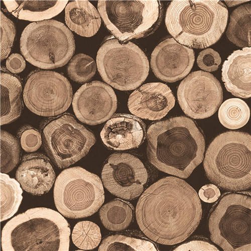 Vinylová tapeta drevo kmene