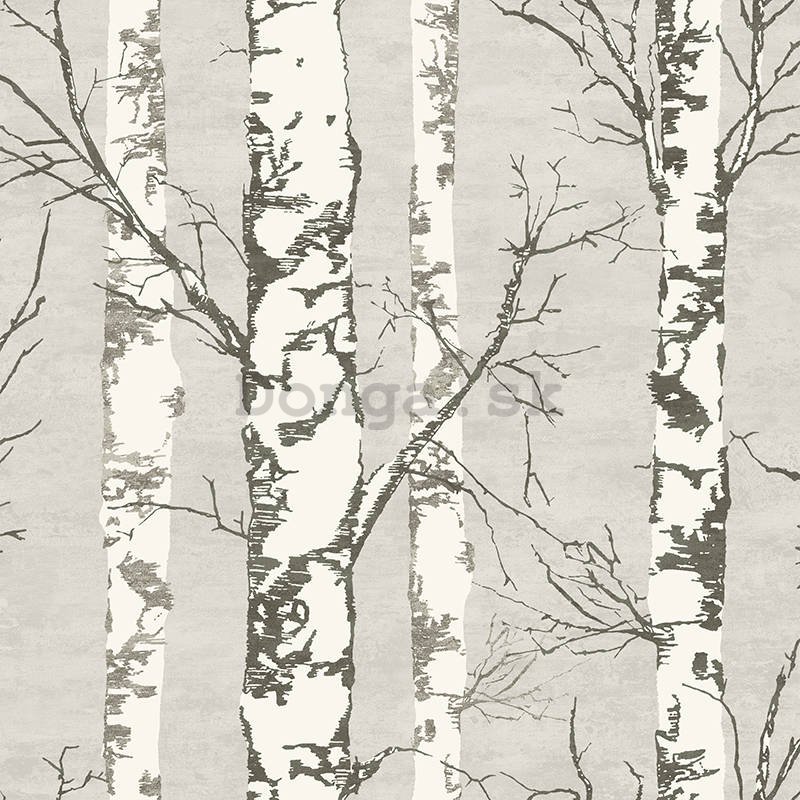 Vinylová umývateľná tapeta šedé brezy