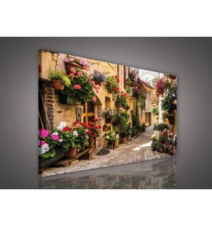 Obraz na plátne: Kvetinová ulička - 75x100 cm