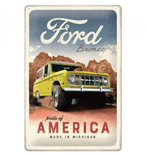 Plechová ceduľa: Ford Bronco (Pride of America) - 20x30 cm