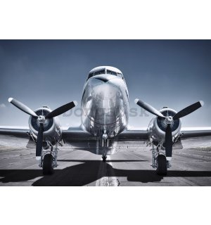 Fototapeta: Historické lietadlo - 368x254cm