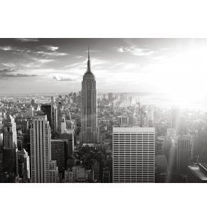 Fototapeta vliesová: Manhattan (černobílý) - 400x280 cm