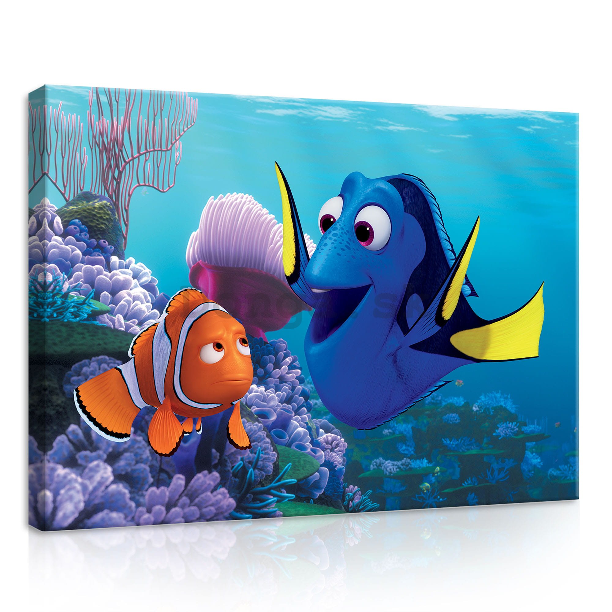 Obraz na plátne: Hladá sa Nemo (Marlin & Dory) - 35x25 cm