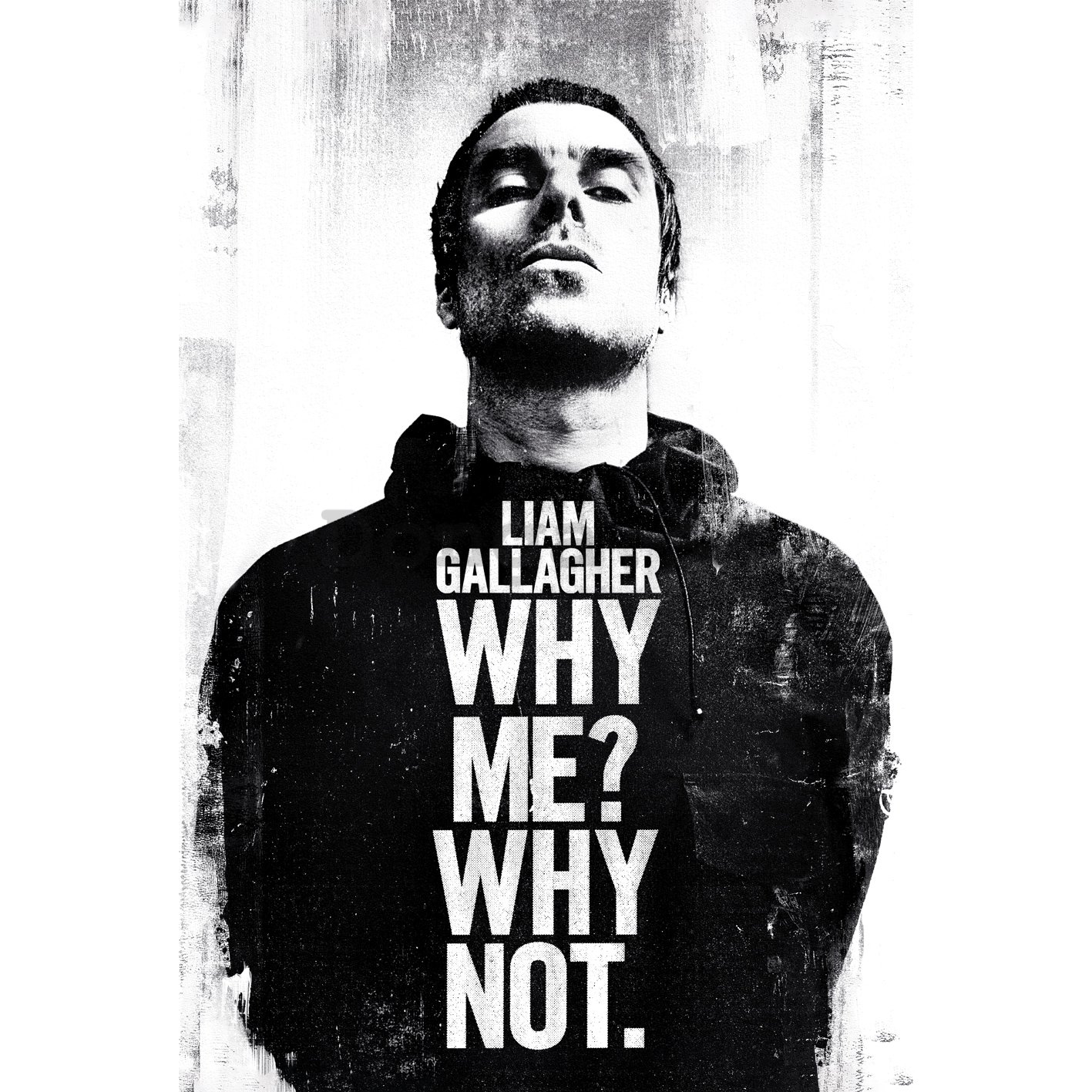 Plagát - Liam Gallagher (Why me why not)