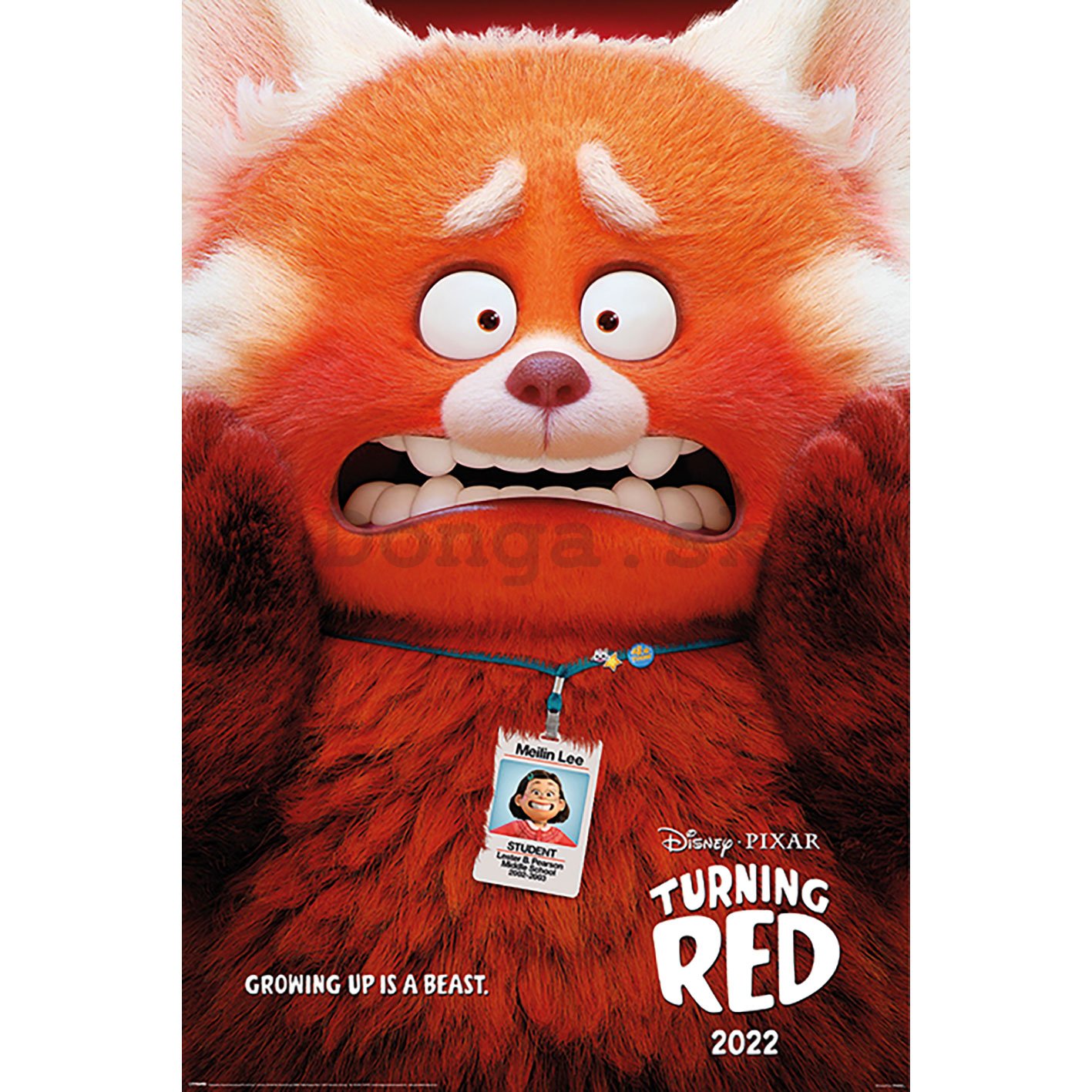 Plagát - Turning Red (Red Panda Mei)