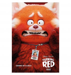 Plagát - Turning Red (Red Panda Mei)