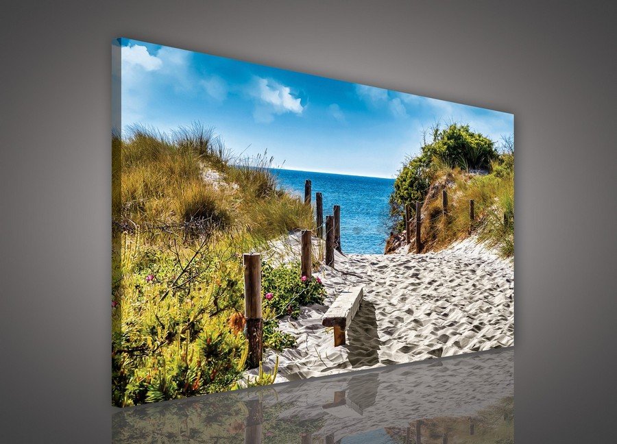 Obraz na plátne: Cesta na pláž (6) - 75x100 cm