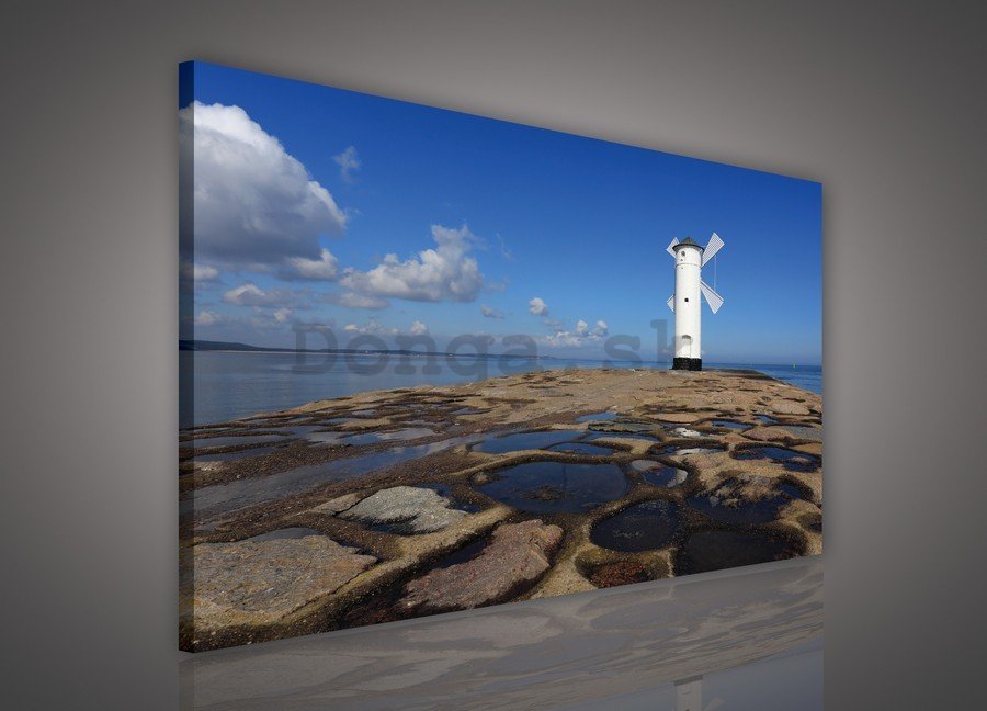 Obraz na plátne: Mlyn na pobreží (2) - 75x100 cm