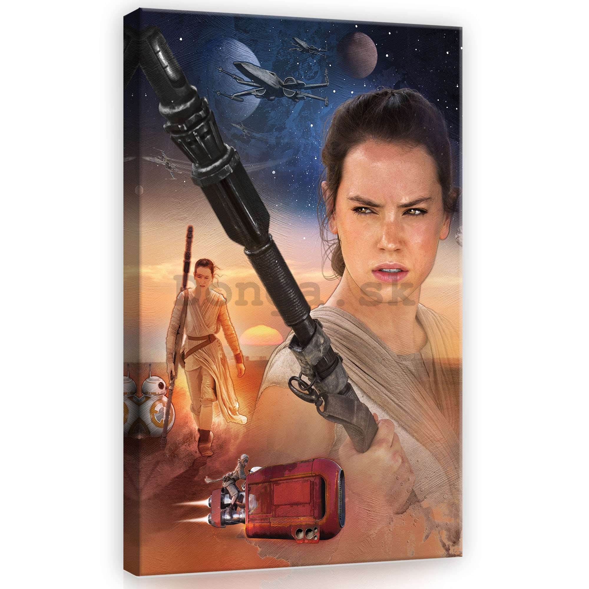 Obraz na plátne: Star Wars, Rey - 40x60 cm