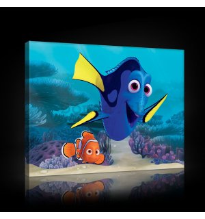 Obraz na plátne: Hladá sa Nemo - 60x40 cm