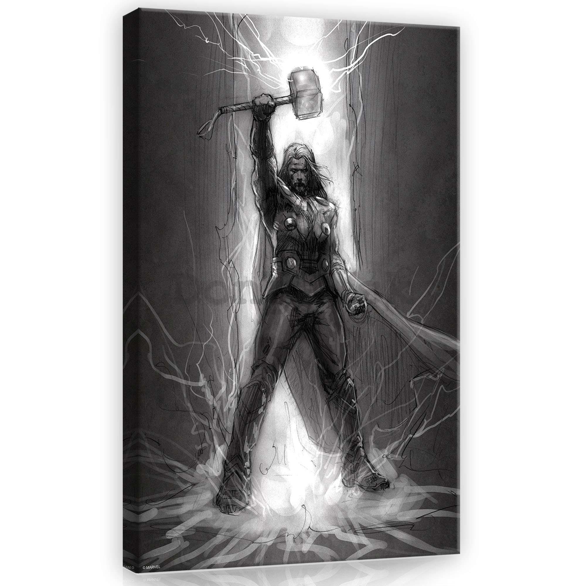 Obraz na plátne: Thor (čiernobiely) - 60x40 cm