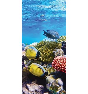 Fototapeta vliesová: Koralové útesy - 100x211 cm