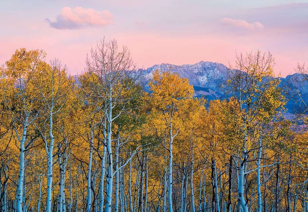 Fototapeta vliesová: Jesenné brezy a hory - 368x254 cm