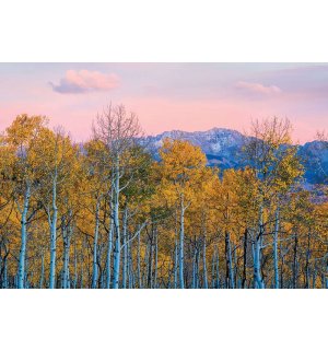 Fototapeta vliesová: Jesenné brezy a hory - 368x254 cm