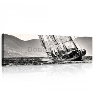 Obraz na plátne: Jachting (čiernobiela plachetnica) - 145x45 cm