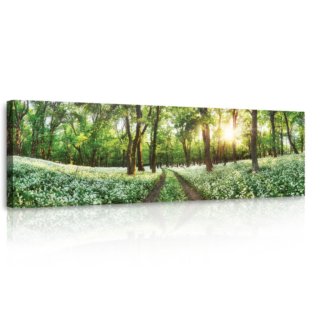 Obraz na plátne: Kvitnúca lesná cesta - 145x45 cm