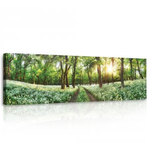 Obraz na plátne: Kvitnúca lesná cesta - 145x45 cm